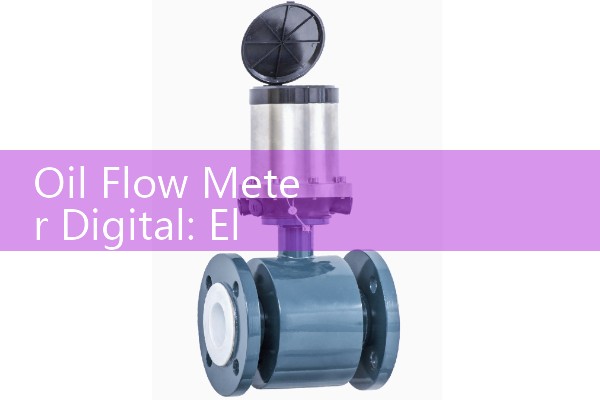 Oil Flow Meter Digital: Electronic High-Viscosity Petroleum Gear Gauges